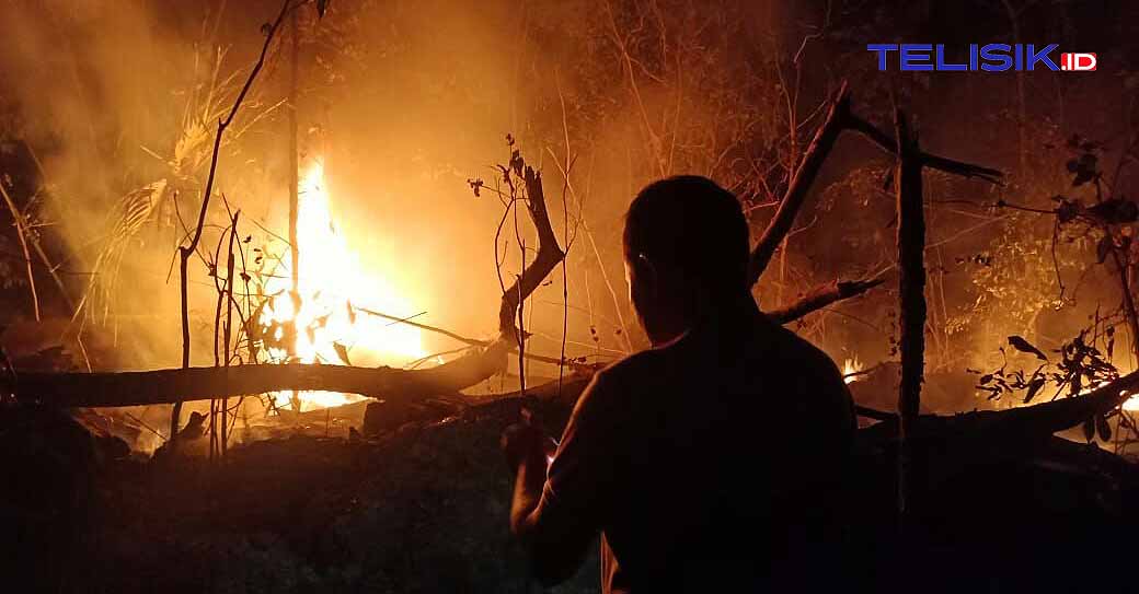 Cagar Alam Tampo Terbakar, Jati Tertua di Dunia Aman