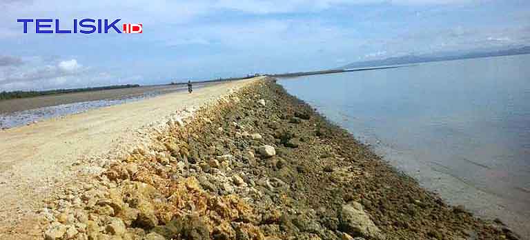 Polda Garap Timbunan Motewe, Tim PHO dan FHO Diperiksa