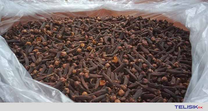 Harga Cengkeh Anjlok, Pemda Kolut Lobi Perusahaan