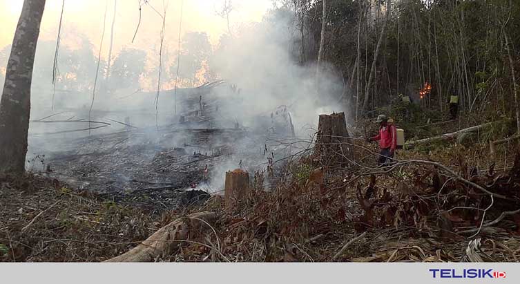 Koltim Masih Siaga Kabut Asap
