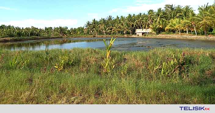 Warga Menolak Biaya Pembebasan Lahan Bandara di Kolut