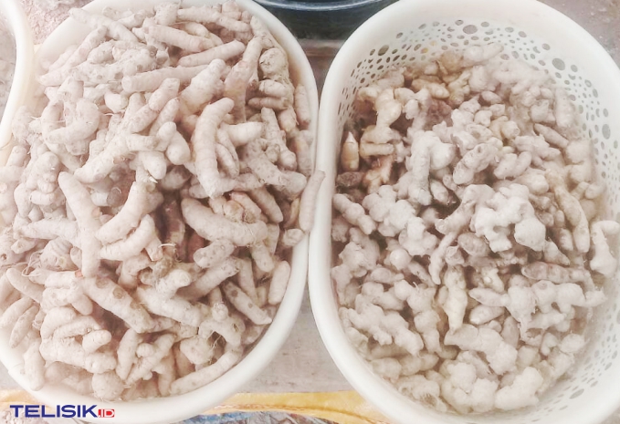 Harga Jahe Melonjak Rp100 Ribu per Kilogram