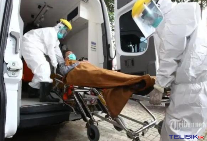 Pasien COVID-19 di Indonesia, Positif 514, Meninggal 48, Sembuh 29 Orang