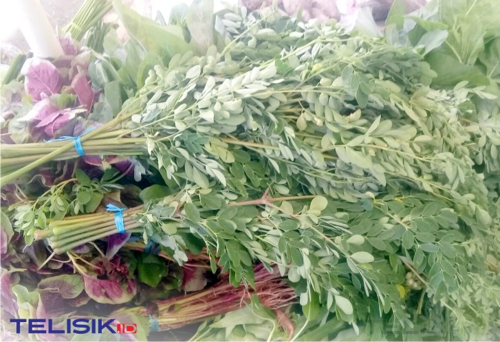 Diyakini Mampu Tangkal COVID-19, Daun Kelor Langka di Pasar