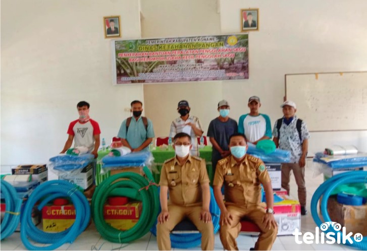 Sagu Menjadi Solusi Pangan Masa Pandemi di Konawe