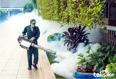 Waspada Demam Berdarah di Tengah Wabah COVID-19 di Konawe