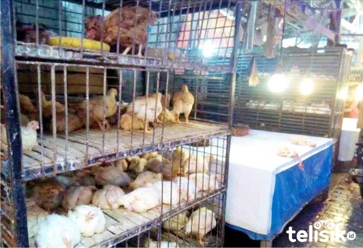 Takut Ayam Potong di Pasar Disembelih Tanpa Basmalah? Begini Penjelasannya