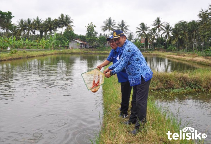 Gerakan Makan Ikan untuk Kesehatan Tubuh di Tengah Pandemi COVID-19