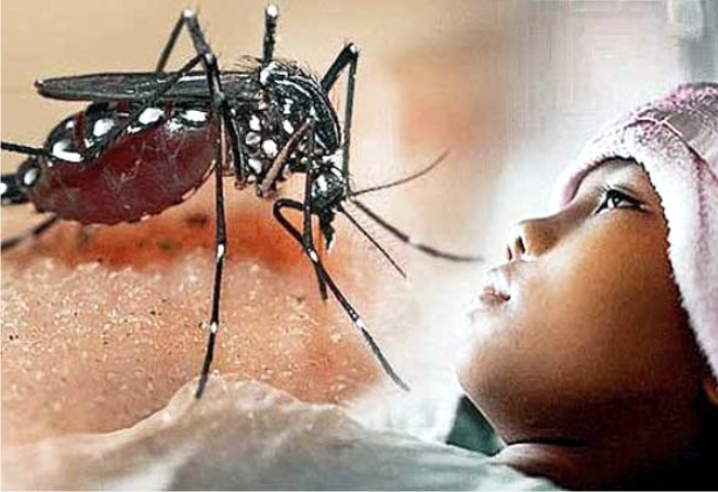 DBD Mengancam di Tengah Wabah COVID-19