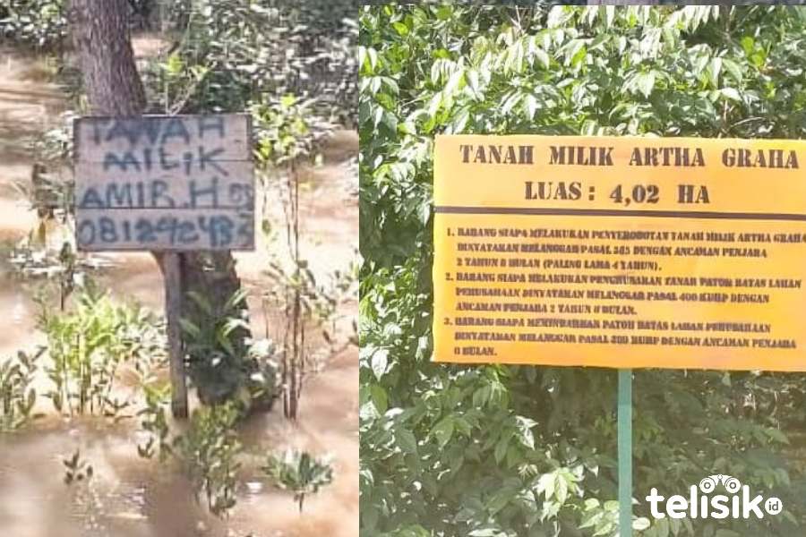 Dewan Kota Soroti Banyaknya Lahan Mangrove Jadi Milik Pribadi