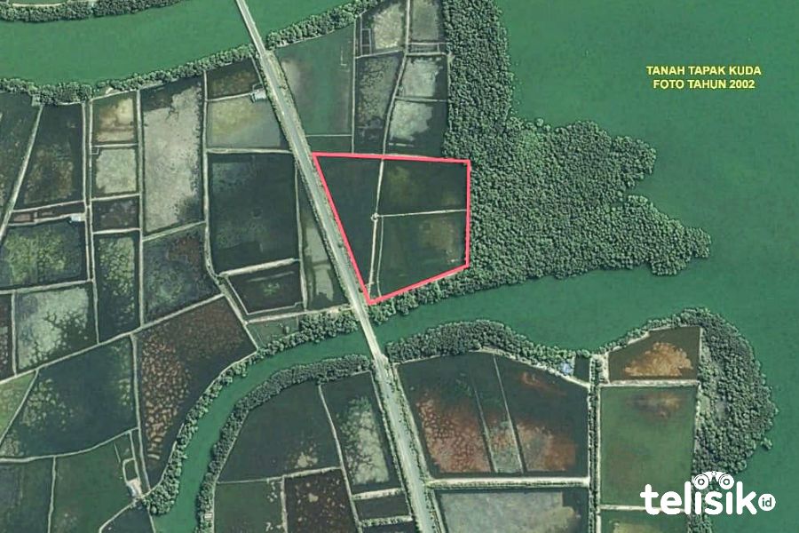 Disorot Dewan, Artha Graha Sebut Dulu Lahannya Empang Bersertifikat