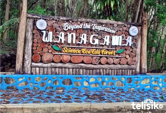 Hutan Pendidikan Wanagama, dengan Daya Tariknya yang Unik
