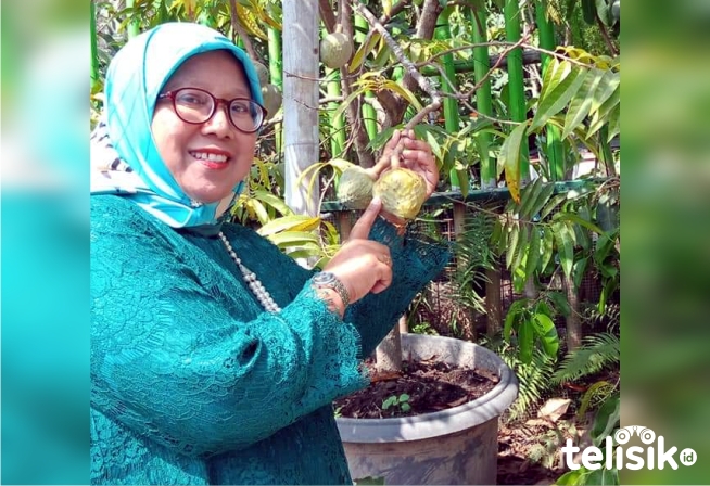 Owner Widi's Garden Impikan Sekolah Lapangan Pertanian