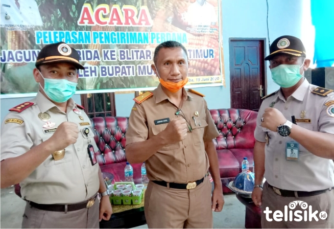Tongkol Jagung Ternyata Bisa Diolah Jadi Tepung