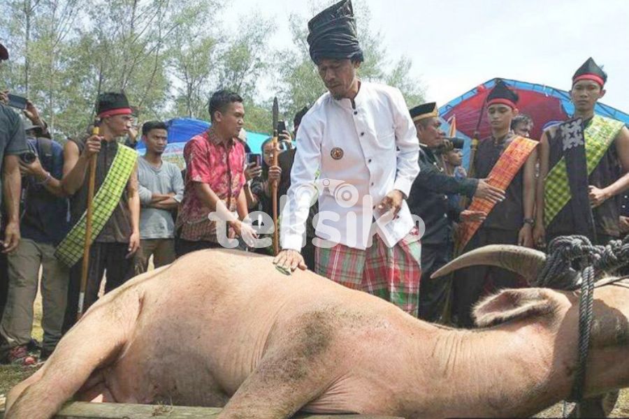 Foto Humanis: Mosehe Wonua, Ritual Tolak Bala Suku Tolaki
