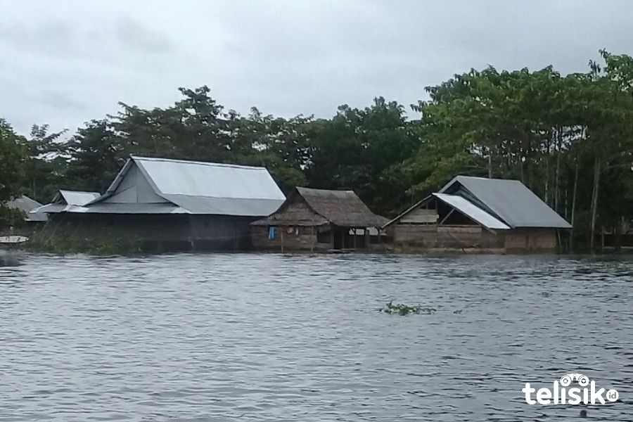 Dua Kecamatan Baru Terendam Banjir di Konawe, Total Terdampak 12.416 Jiwa