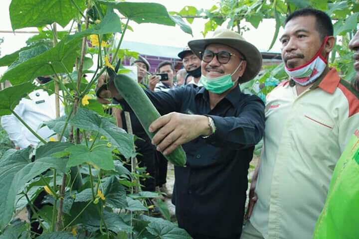 Hasil Melimpah, Surunuddin Apresiasi Poktan Sidomulyo