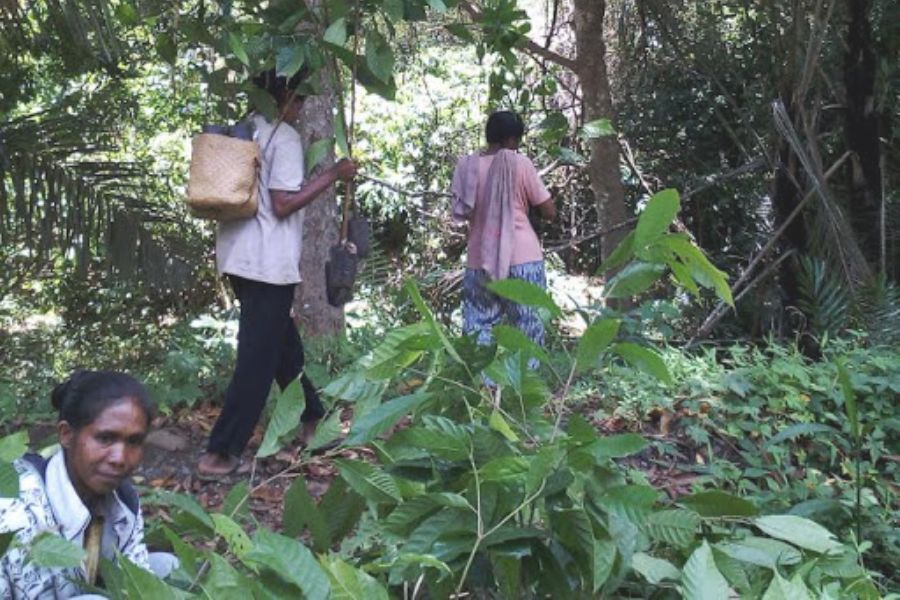 Komisi IV DPR RI Minta Program Bang Pesona KLHK Diperluas