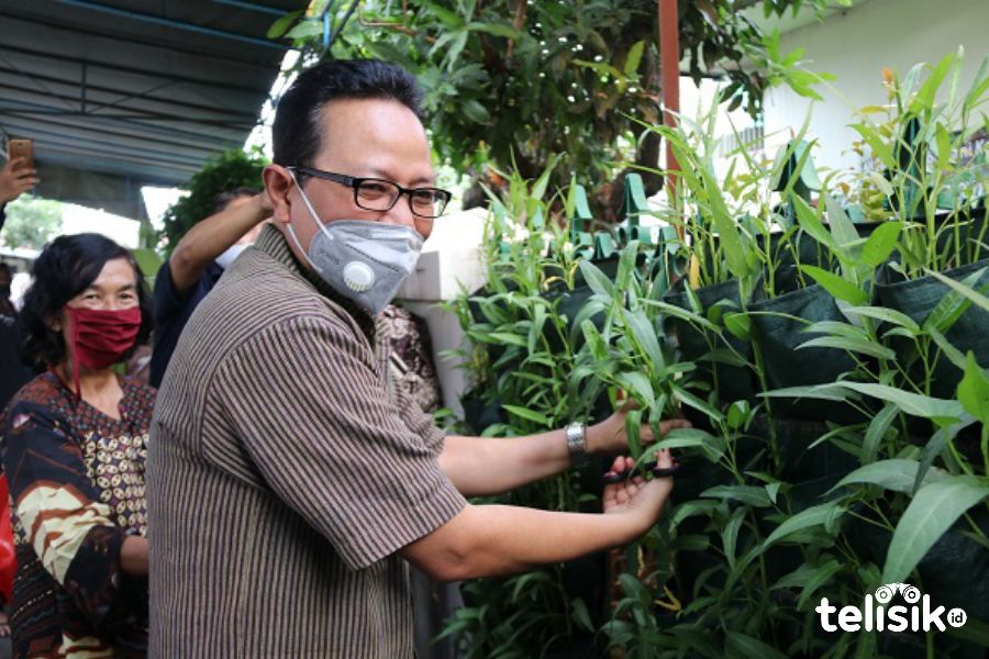 Lakukan Penghijauan dengan Sayuran