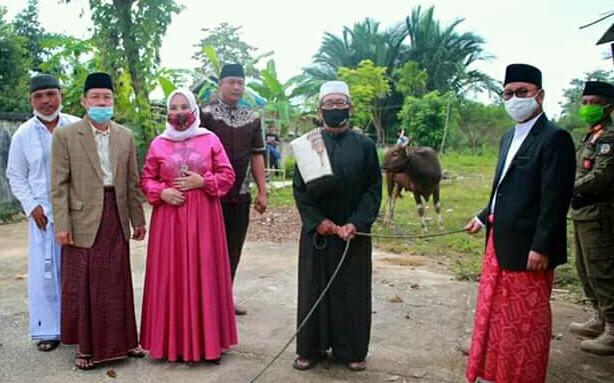 Pemda Konsel Sumbang 14 Hewan Kurban di Hari Raya Idul Adha