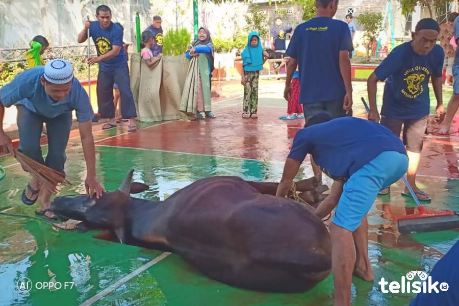Penyembelihan Hewan dan Penanganan Daging Kurban yang Higienis di Era COVID-19