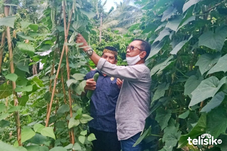 DPRD Kolaka Utara Apresiasi Program P2L Dinas Ketahanan Pangan