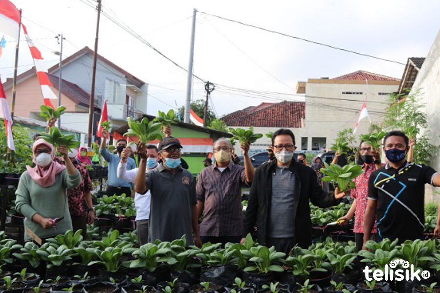Dulu Tempat Sampah, Kini Jadi Kebun Sayur