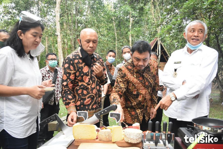 Impor Susu dan Keju Terhambat, Buka Peluang Produsen Lokal