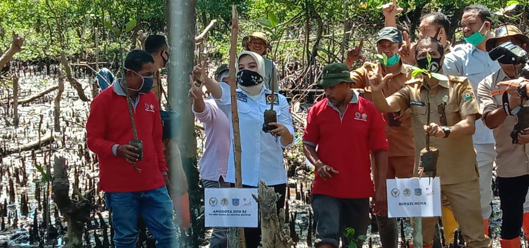 Jati dan Mangrove Kembali Ditanam di Muna