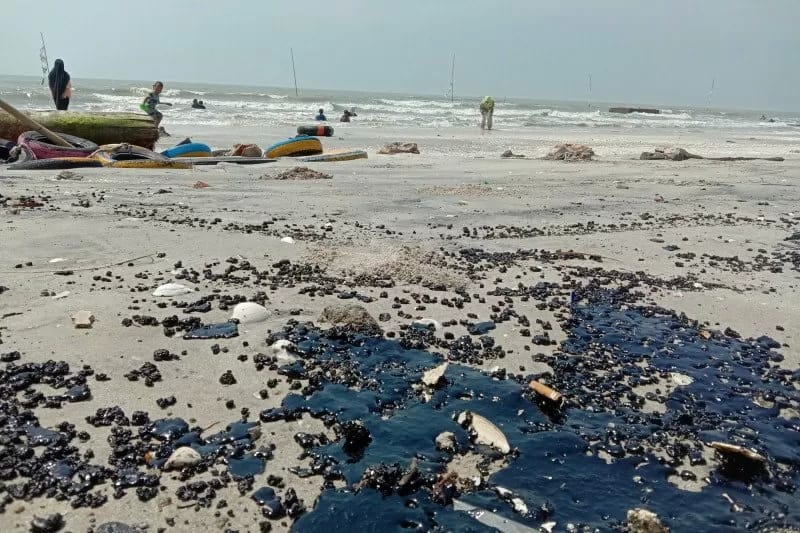 KLHK dan Aparat Didesak Usut Kasus Pencemaran Laut