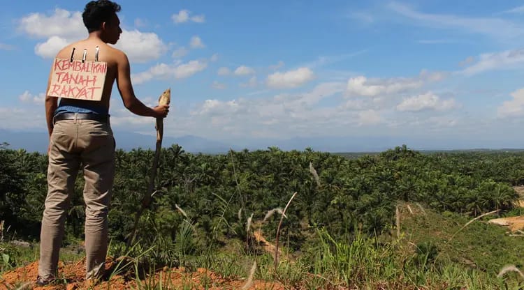Perusahaan Kelapa Sawit PT Dua Perkasa Lestari Diduga Rebut Lahan Masyarakat