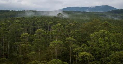 600 Hektar Lahan di Buteng Dibuka untuk Daerah Transmigrasi
