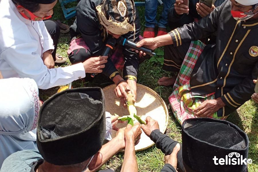 Akibat Cuitannya di Medsos, Seorang Pria Didenda Satu Ekor Kerbau
