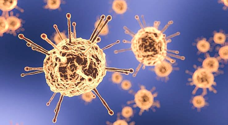 Hari Ini, 36 Kasus Positif COVID-19 Kembali Bertambah di Sultra