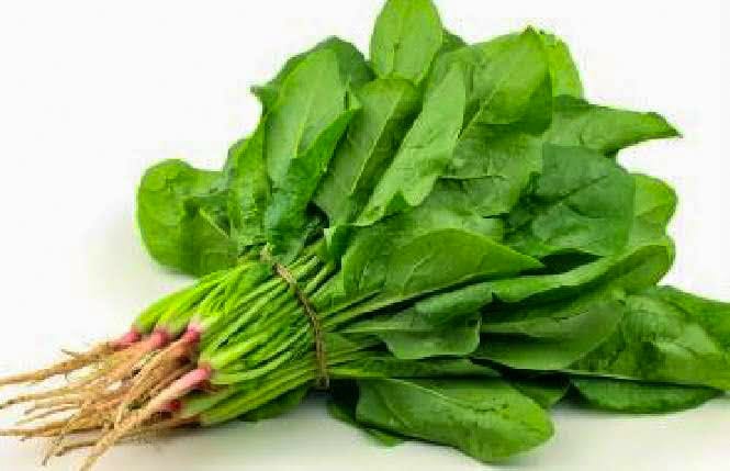 Manfaat Bayam untuk Kesehatan Tubuh dan Ibu Hamil