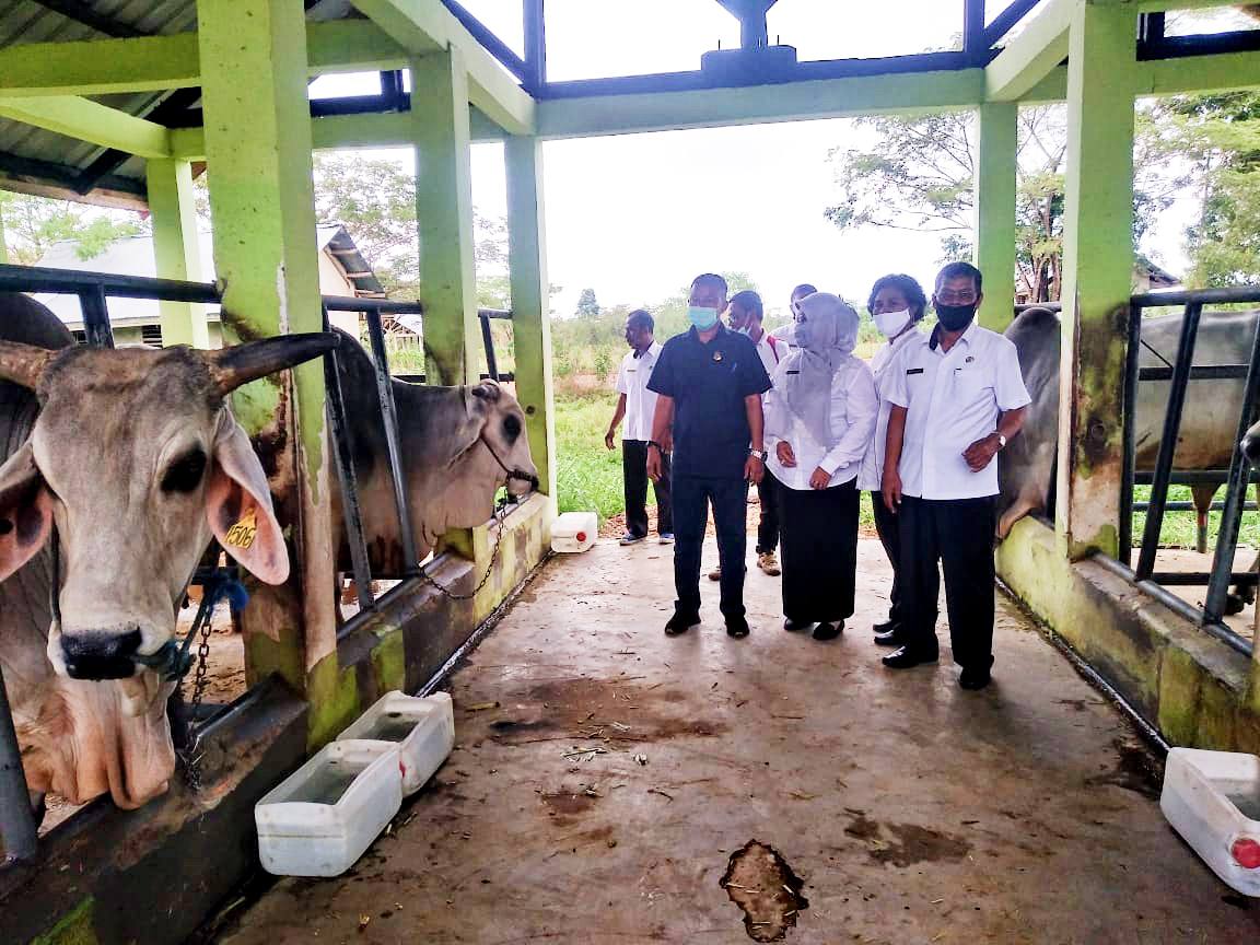 Pemprov DKI Jakarta Investasi Rp 2 Triliun Bangun Lumbung Ternak di Sultra