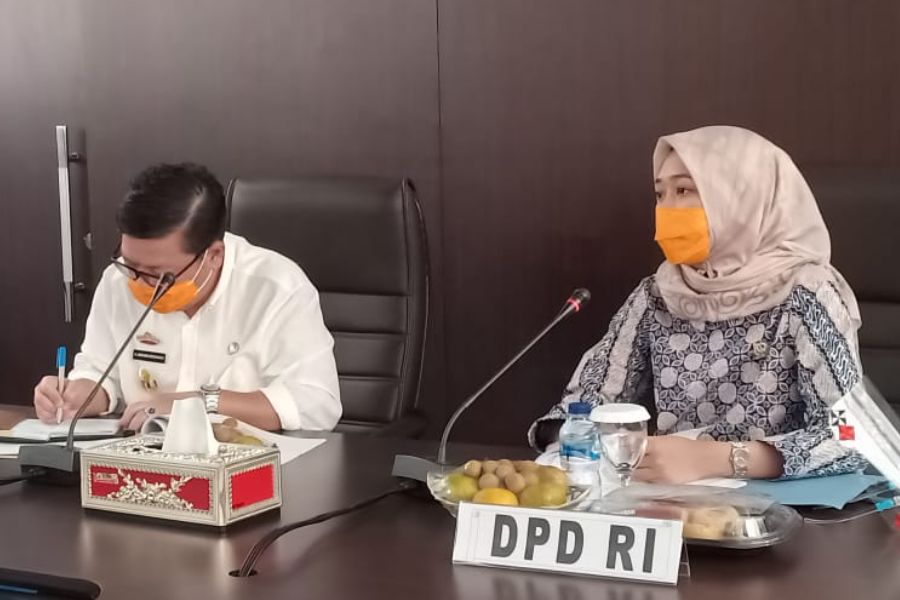 Sebut Ada 3500 Dokter Cadangan, DPD RI ke Menkes: Dokter Bukan Stok Barang