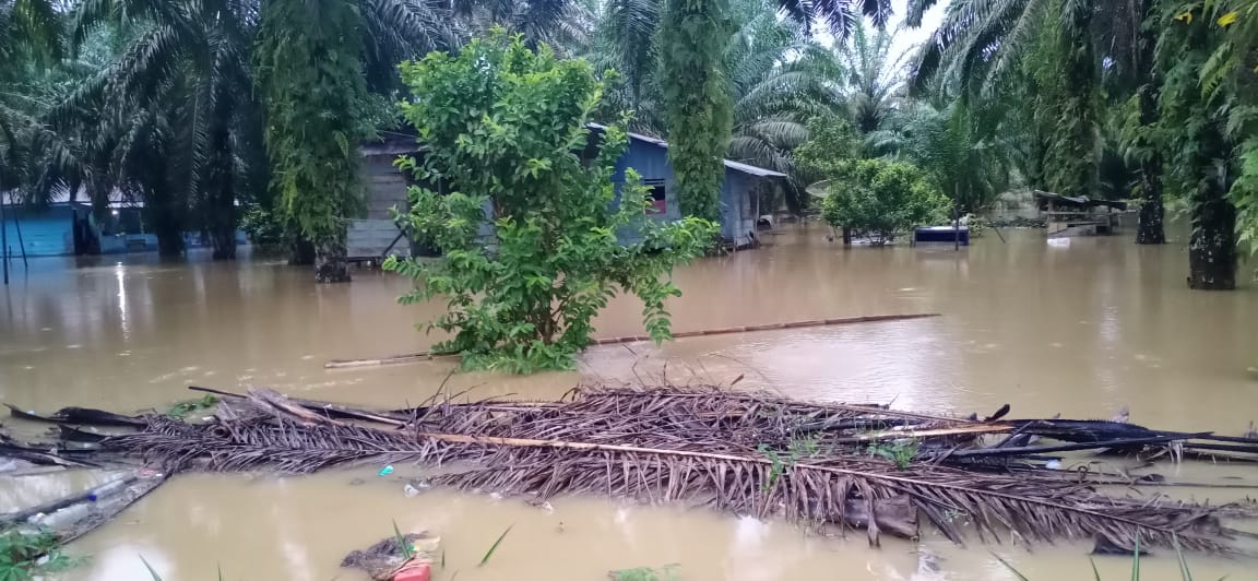 Sungai Lae Cinendang Meluap, 90 Rumah di Aceh Singkil Terendam