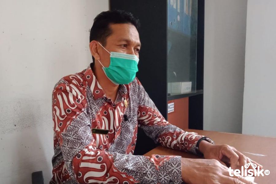 Tahun Ini, Produksi Kakao di Kolut Meningkat 30 Persen