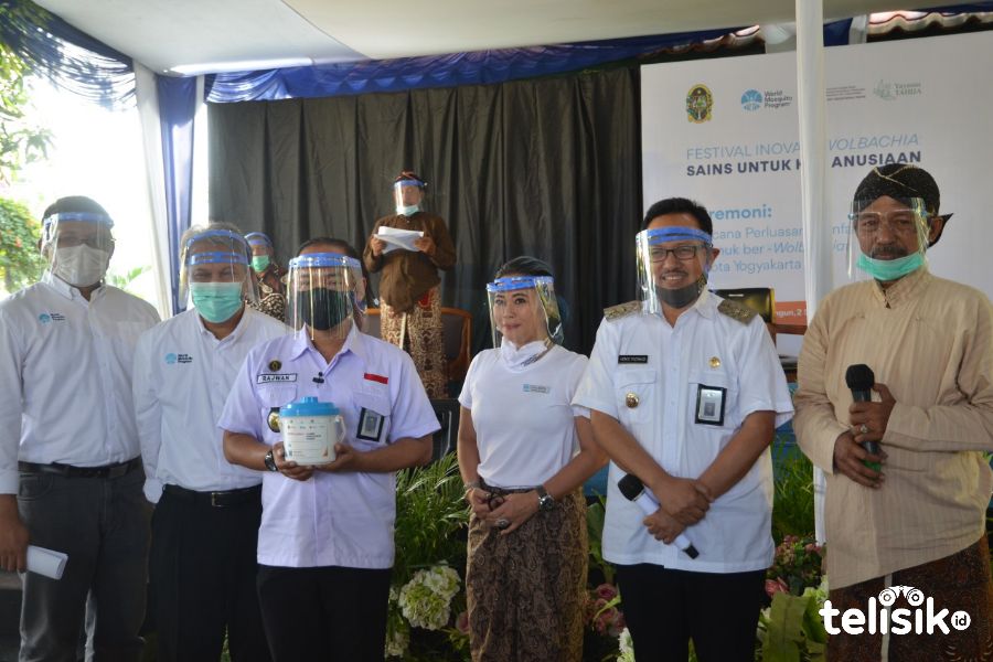 Tekan Kasus DBD, Sebar Nyamuk Aedes Aegepty ber-Wolbachia