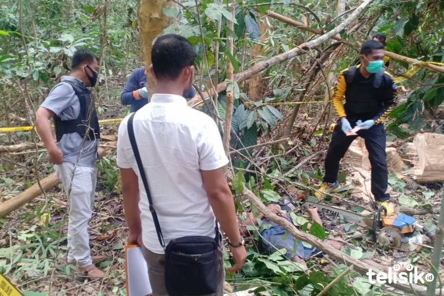 Tukang Senso di Muna Tewas Tertimpa Pohon Jati