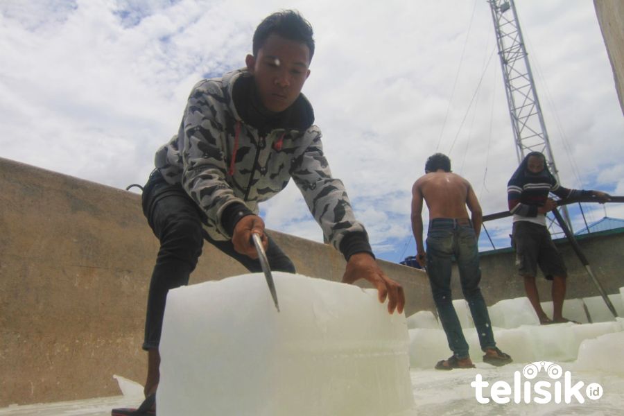 Foto Humanis: Aktivitas PPS Kendari, Pelabuhan Terbesar ke Dua di Indonesia