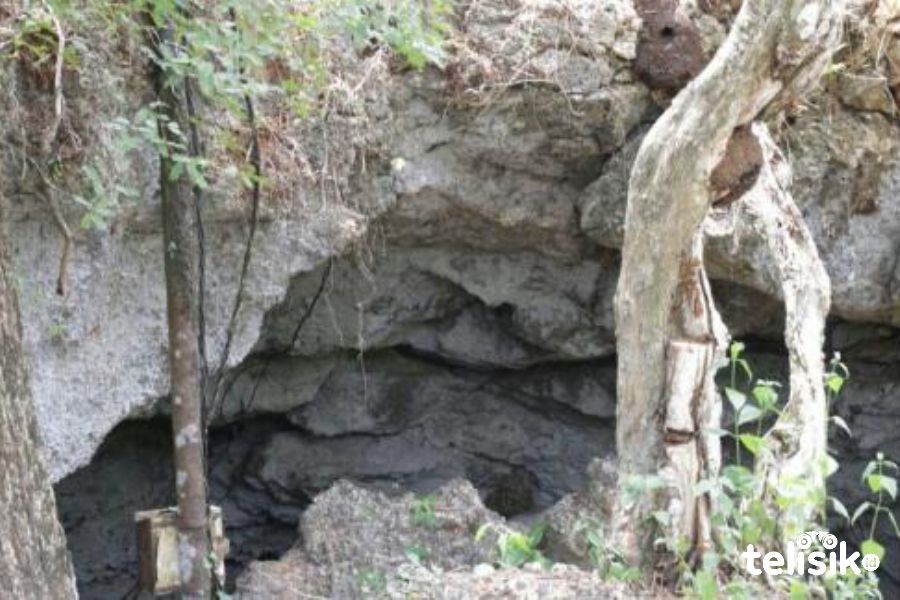 Gua Laulawi Buton Tengah, Terpanjang di Indonesia