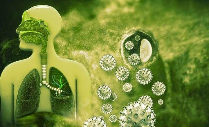 Hari Ini, Penambahan Positif COVID-19 di Sultra Sebanyak 226 Kasus