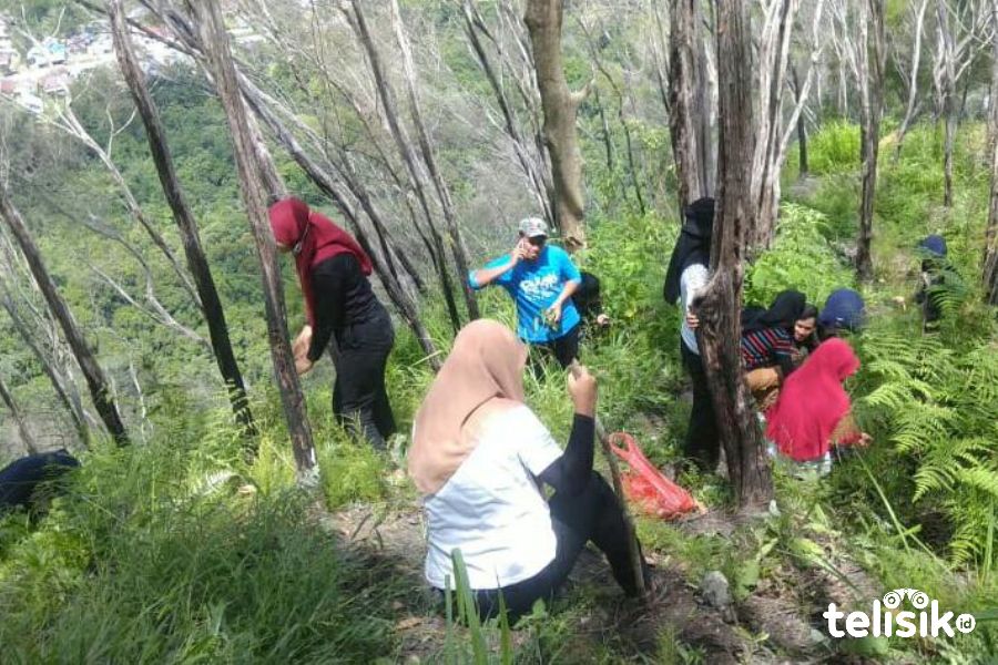 Koprabuh dan Pengelola Wana Wisata Tanam Pohon di Puncak Popalia