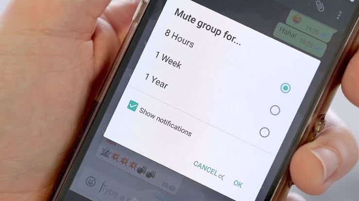 Mute Selamanya Grup WhatsApp Sudah Bisa Dicoba