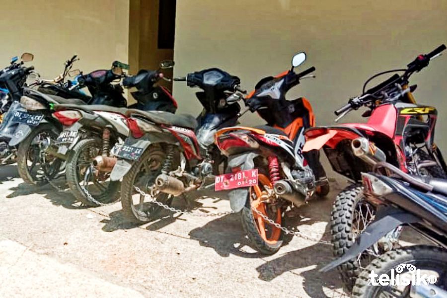 Polisi Gerebek Judi Sabung Ayam, Randis Plat Merah Ikut Diamankan