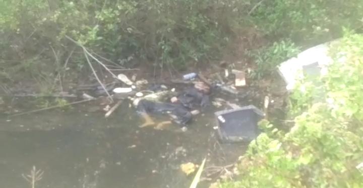 Polisi Ungkap Motif di Balik Penemuan Mayat di Hutan Bakau