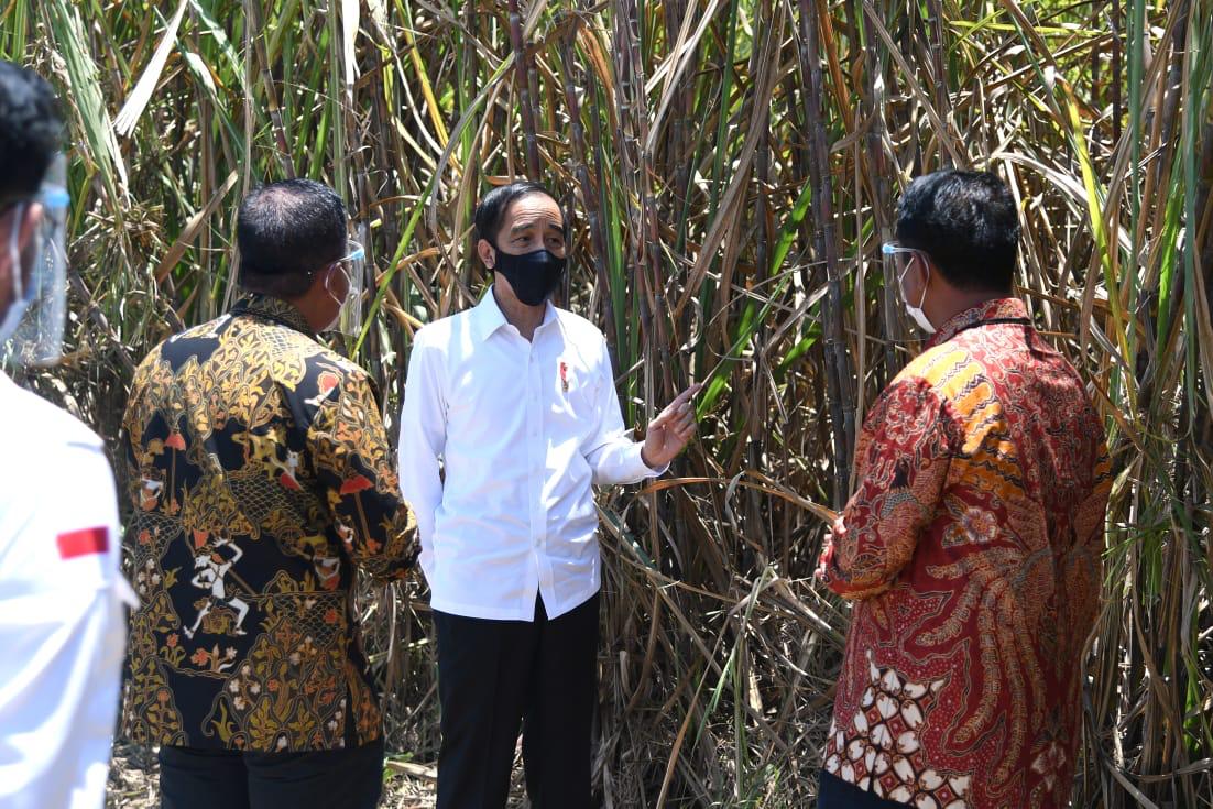 Presiden Jokowi Resmikan Pabrik Gula di Bombana