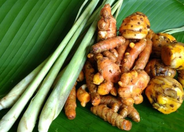 Dr. Zaidul Akbar Anjurkan Bahan Rimpangan Jadi Minuman Tiap Hari